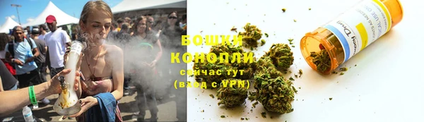PSILOCYBIN Богданович