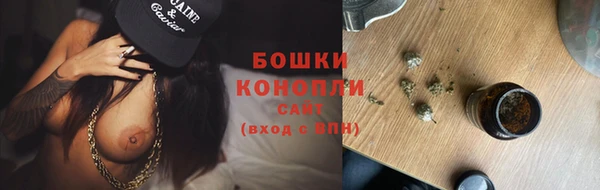 spice Богородск