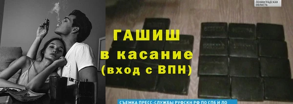 PSILOCYBIN Богданович