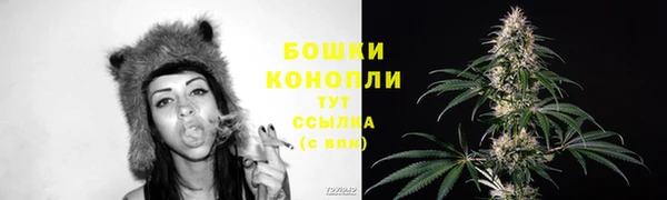 spice Богородск