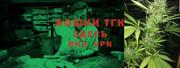 spice Богородск