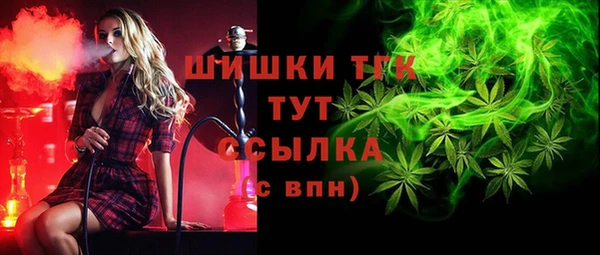PSILOCYBIN Богданович