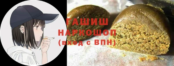 spice Богородск