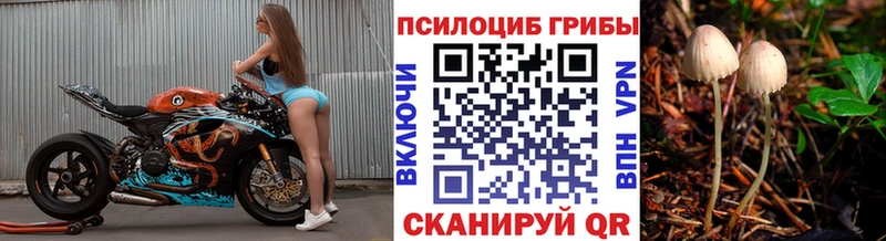 блэк спрут tor  Котово  Псилоцибиновые грибы Magic Shrooms  магазин   